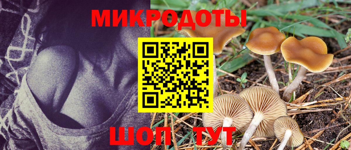 Псилоцибиновые грибы ЛСД  хочу наркоту  Мыски  Вход с VPN 